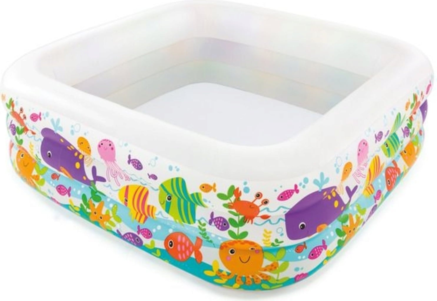 Clearview Aquarium Pool, Clearview Aquarium Pool