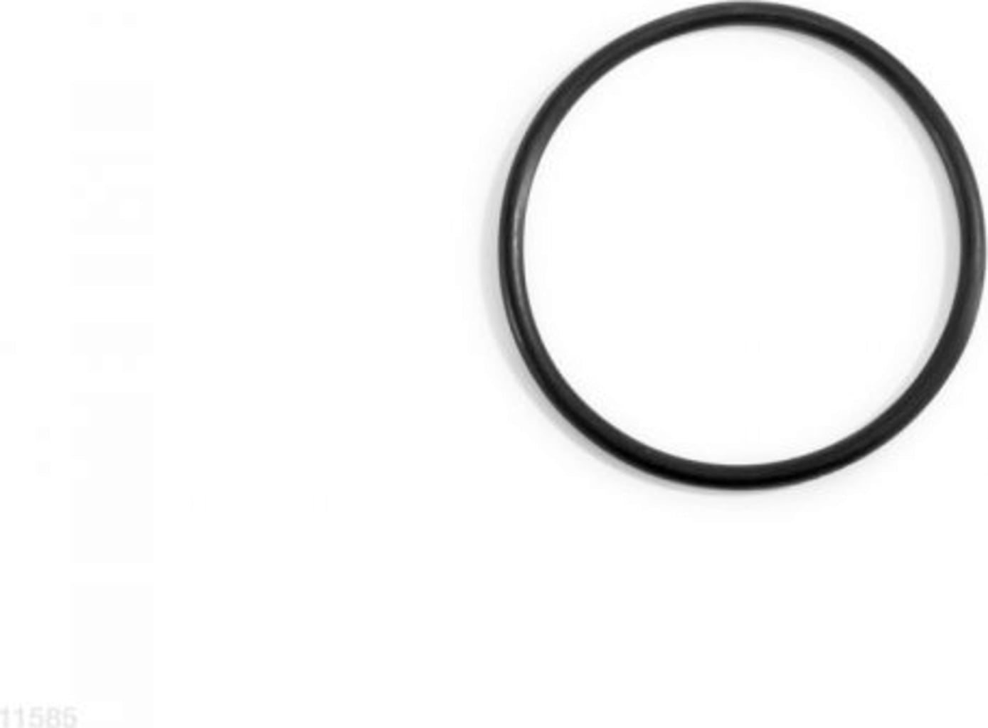 O-Ring for Titanium Electrode